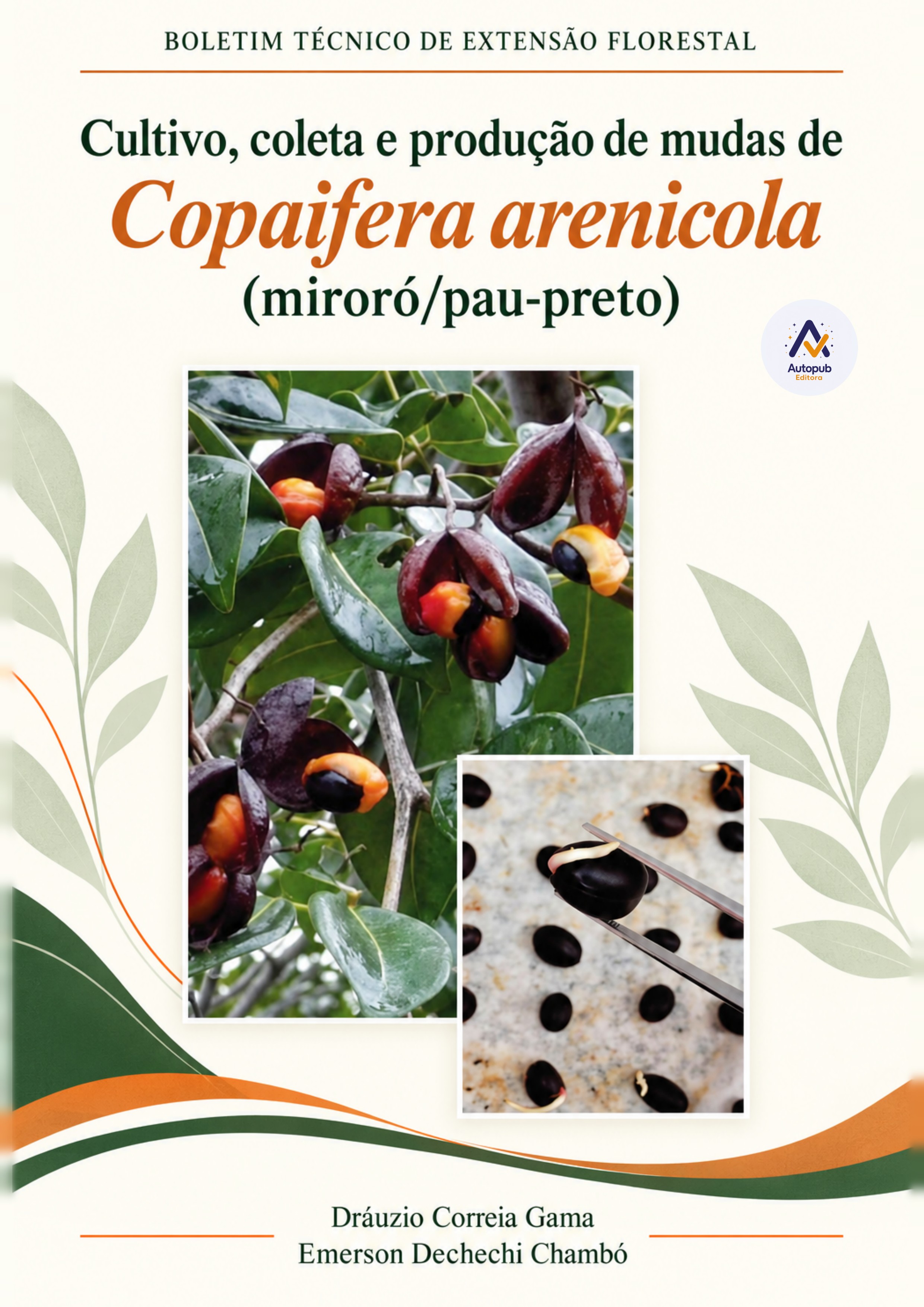 Capa de Boletim Técnico de Extensão Florestal:
Cultivo, coleta e produção de mudas de Copaifera arenicola (miroró/pau-preto)